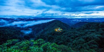 Duurzaam reizen: steun regenwoudbehoud tijdens uw verblijf