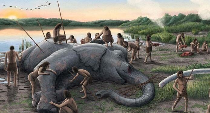 Onze voorouders jaagden op gigantische olifanten 2 miljoen jaar geleden.