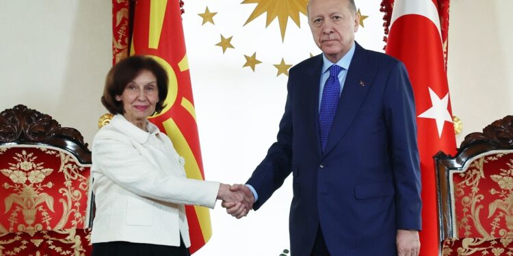 Ontmoeting Erdogan met president Noord-Macedonië in Istanbul