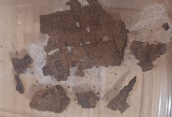 Papyrus met Ilias ontdekt in Egyptische mummie