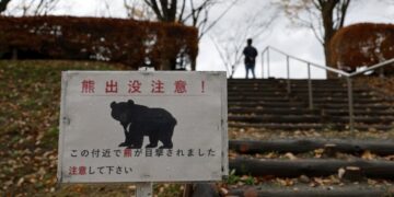 Beren ontwaken en Japan voorbereid op nieuwe golf aanvallen.