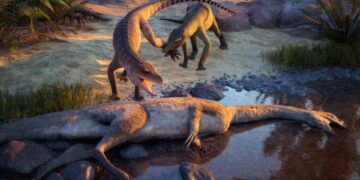 Krachtige kaken: ontdekking van de oude neef van krokodillen