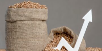 De komende wereldwijde crisis op ons bord