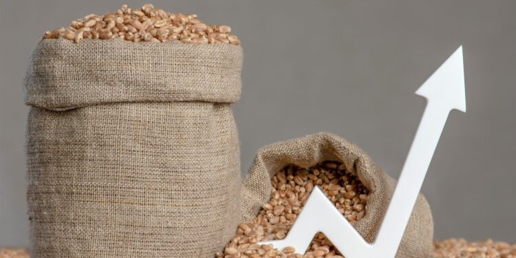 De komende wereldwijde crisis op ons bord