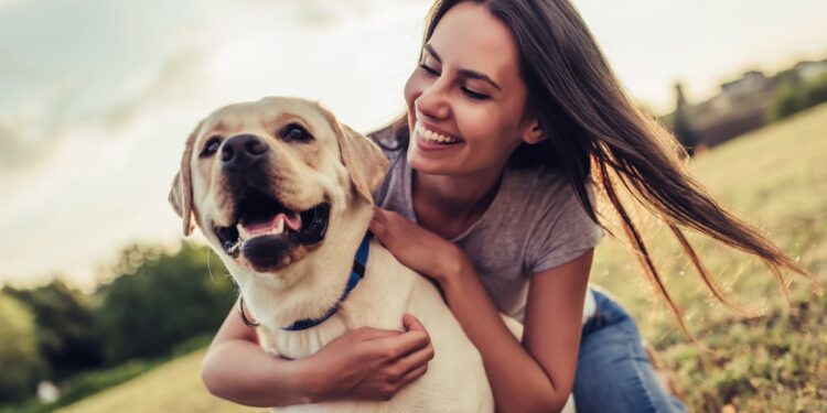 Honden krimpen hersenen om te leven met mensen