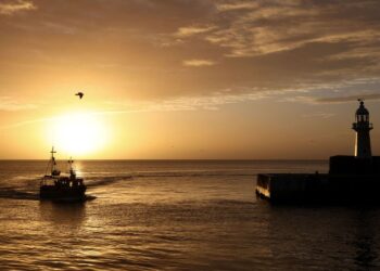 Waarschuwing: visbestanden op rand van instorting door overbevissing