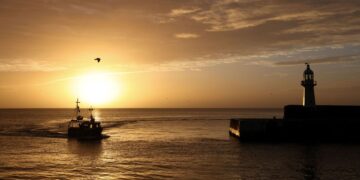 Waarschuwing: visbestanden op rand van instorting door overbevissing