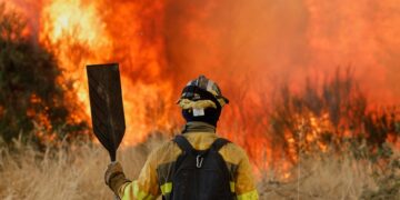 Zonne-energie stijgt naar recordhoogte, zorgen over hoge temperaturen.