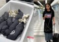 Taiwanese vrouw gepakt met dertig schildpadden in kleding op luchthaven Bangkok