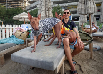 Hondenfestival brengt vreugde en plezier naar Dubai