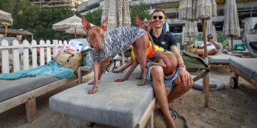 Hondenfestival brengt vreugde en plezier naar Dubai