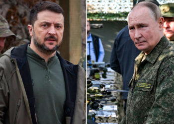 Kiev vraagt Turkije om ontmoeting Zelenski en Poetin te regelen