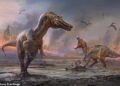 Oplossing voor mysterie van kleine handjes bij grote vleesetende dinosaurussen.