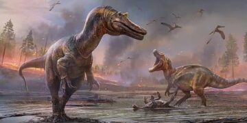 Oplossing voor mysterie van kleine handjes bij grote vleesetende dinosaurussen.