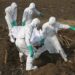 Groot-Brittannië stuurt 23 miljoen om verspreiding van Ebola in Congo te voorkomen
