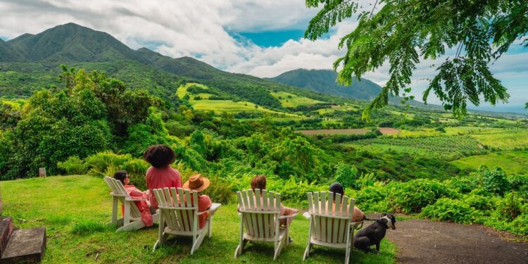 Verlangend naar St. Kitts: Ontdek de hoogtepunten en geheime plekjes.