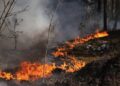 Brandende hel in Tsjernobyl na drone-crash