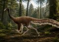 Nieuwe dinosaurus ontdekt: struisvogelachtige soort verrast wetenschappers