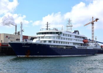 Hantavirus op cruiseschip MV Hondius: over ontstaan en overdracht