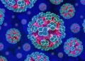 Minimaal risico op verspreiding van handavirus wereldwijd