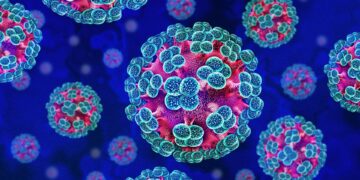 Minimaal risico op verspreiding van handavirus wereldwijd