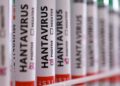 Vermoedelijk geval van hantavirus vastgesteld in Spanje