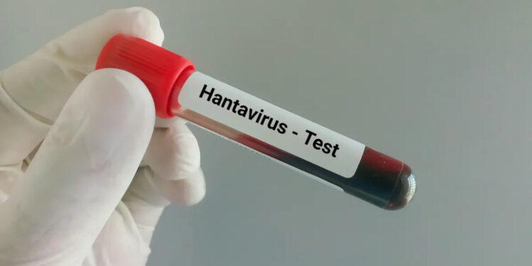 Hantavirus uitbraak stijgt tot 13 gevallen op cruiseschip MV Hondius