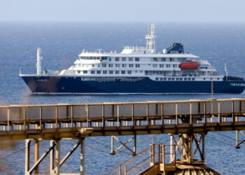 Hondius cruischip: WHO op zoek naar zeven gevallen hadavirus