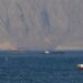 Spanning in Hormuz: Iran dreigt met aanval op Amerikaans schip, VS ontkent betrokkenheid.