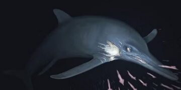 Ontdekking van “Highlander” ichthyosauriër in Nederlandse wateren