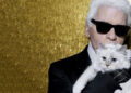 Karl Lagerfelds kat erft miljoenen maar raakt failliet