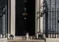 De onwrikbare kat van Downing Street: zes premiers en geen enkele regering