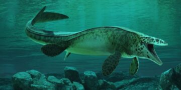 Tyrannosaurus Rex van de oceanen ontdekt