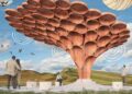 Winnaar van wedstrijd Sycamore Gap boom onthuld