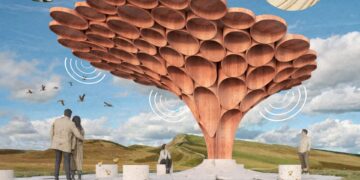 Winnaar van wedstrijd Sycamore Gap boom onthuld