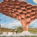 Winnaar van wedstrijd Sycamore Gap boom onthuld