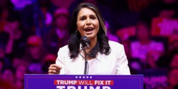 Tulsi Gabbard stapt op als hoofd Nationale Inlichtingendienst