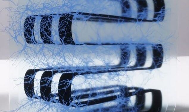 Levende neuronen en elektronische circuits samengevoegd in biocomputer