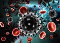 Antilichamen onthullen sleutel tot effectievere vaccins