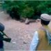40 executies in Iran onder mom van nationale veiligheid