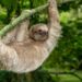 Reset en herstel in Costa Rica: eco-toerisme, welzijn en natuurlijke schoonheid.
