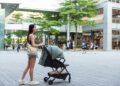 Meer huisdieren dan kinderen in dit gebied