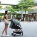 Meer huisdieren dan kinderen in dit gebied