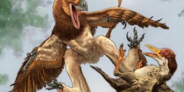 Dinosaurus met vliegend pak lokte vogels in hinderlaag