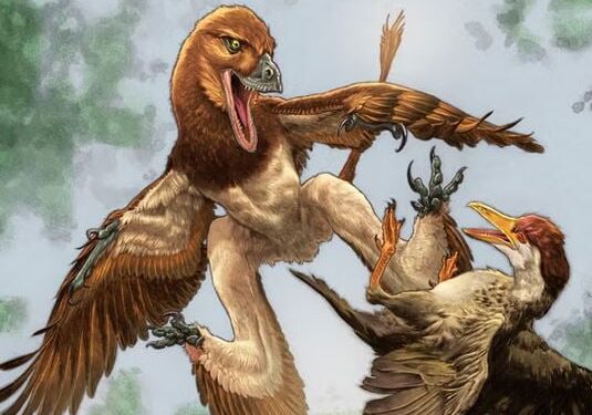 Dinosaurus met vliegend pak lokte vogels in hinderlaag