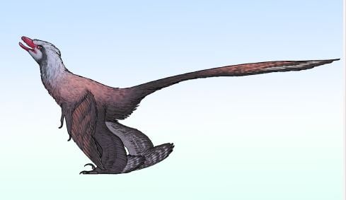 De ontdekking van de dinosauruspauw