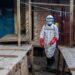 Eerste ebola-geval in Frankrijk bij teruggekeerde arts uit Congo