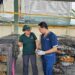 Horror in Vietnam: Ring verkoopt gestolen katten als voedsel, dode huisdieren in ijs gevonden