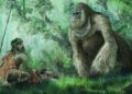 Gigantische aapfossielen ontdekt in Chinese grot