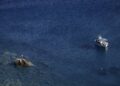 Recordbrekende zeetemperatuur in noordwestelijke Middellandse Zee